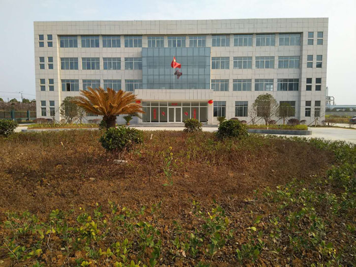 company 1.jpg